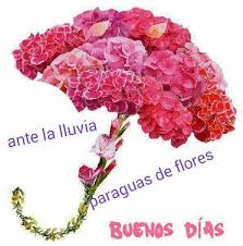 A Mal Tiempo Buena Cara Refran Espanol Saludos De Buenos Dias Buenos Dias Con Flores Buenos Dias Saludos