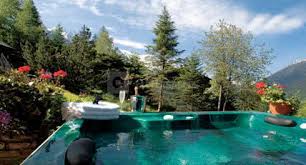 Les avis des inspecteurs michelin, des informations sur les prix, le type de cuisine et les horaires d'ouverture sur le site officiel du guide michelin Les Chalets De Philippe Abc Salles
