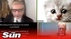 Lawyer using zoom cat filter mishap refers to a viral video taken from a live stream of a civil forfeiture hearing held on the video conferencing application zoom in texas' 394th judicial district court. Lawyer Can T Turn Off Kitten Filter In Zoom Hearing I M Not A Cat Youtube