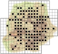 Image result for Diplorhynchus