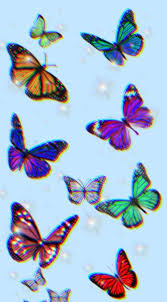 Download butterfly wallpaper aesthetic for desktop or mobile device. Butterflies In 2020 Butterfly Wallpaper Iphone Cute Wallpaper Backgrounds Butterfly Wallpaper