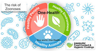 6:00pm est | 3:00pm pst interactive virtual workshops led by health editors and a few wellness warrior friends actionable takeaways and tools to live happier and healthier sessions include: Approach To Zoonoses And The One Health Concept Fakolith