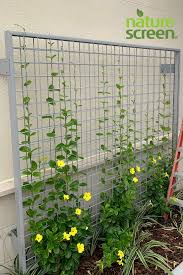 Naturescreen Wall Mounted Trellis For Climbing Plants Vertical Garden Design Wall Mounted Trellis Garden Mesh