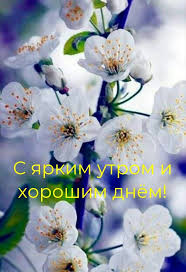 нежные картинки с добрым утром скачать бесплатно на телефон Pin Na Doske Dobroe Utro Dobryj Den