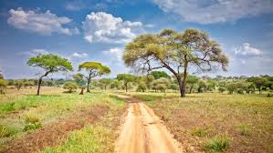 Agoda.com has the best prices on dodoma hotels, resorts, villas, hostels & more. 30 Best Dodoma Hotels Free Cancellation 2021 Price Lists Reviews Of The Best Hotels In Dodoma Tanzania