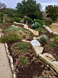 While central texas experiences a humid subtropical climate, north texas offers cold winters. Japanese Aralia Archives Diana S Designs Austin