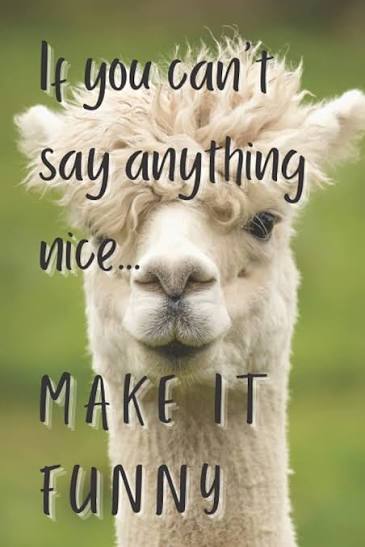 If you can't say anything nice, at least make it funny.