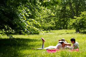 So, here's 30 ideas to keep life simple, and picnics delicious, over the summer. Bucketlist Have A Picnic In A Park Official Bucket List