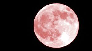 Además encuentra el horario de la salida y puesta de sol para cada día en el calendario abril 2020. Superluna Abril 2020 Hora Y Como Ver La Super Luna Llena Rosa Hoy Marca Com
