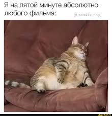 allo docha kak dela allo mama ya ploho slyshu deti orut zagadili vsyu kvartiru u menya bolit golova spinu svelo smeshnye koshki samye milye zhivotnye memy