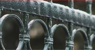 Garten Meinung 28 Luxus Sichtschutzzaune Aus Polen O38p Check More At Https Jboyprints Com Garten Meinung 28 Luxus Sichtschutzzaeune Aus Polen O38p