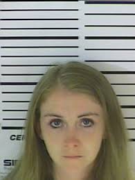 Chatham-Savannah drug agents dismantle two Coastal Georgia meth operations