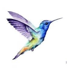 Bird In Flight Drawing Trendy Bird Flying Painting Watercolour 46 Ideas Hummingbird Painting Bird Drawings Watercolor Hummingbird