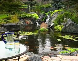 Image result for garden pond ideas