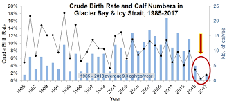 Thanks to the 20th century whaling industry and other factors, by the 1950s, the population of. Recent Declines In Humpback Whales In Glacier Bay Icy Strait Is Their Heyday Over Glacier Bay National Park Preserve U S National Park Service Currents Glacier Bay S Ocean Science Hub
