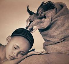 Gregory colbert Pinterest board: 59 ideas from "Ashes and Snow"