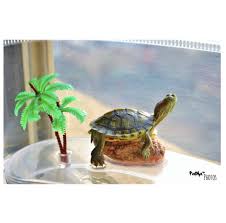 فيكتور واوليفر كلام سلاحف فاطمه