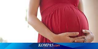 We did not find results for: Tak Sembarangan Begini Aturan Naik Kereta Api Bagi Ibu Hamil Halaman All Kompas Com