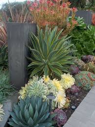 16 Simple Low Maintenance Front Yard Landscaping Ideas Drought Tolerant Garden Succulent Landscaping Plants