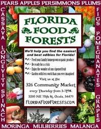 Florida Survival Gardening Food Forest Perennial Vegetables Fruit Trees
