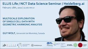 Multiscale exploration of single cell data with geometric harmonic analysis 