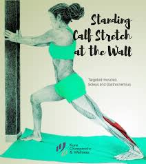 Standing Calf Stretch At The Wall Targeted Muscles Soleus And Gastrocnemius Stand In Front Of A Wall In Lunge Posit Rehabilitation Chiropractic Muscle Health
