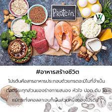 plant based protein โปรต นพ ชจากถ วผสมเมล ดพ ชค ณภาพส ง อ ดมด วยสารอาหาร กรดอะม โนท จำเป นต อร างกาย โปรต นไอโซเลท เข มข นส ง 90 รส ในป 2021 โปรต น สารอาหาร บำร งผ ว