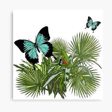 Jardin y decoracion con estanques como decorarlos selección del espacio para construirlos y las mejores plantas para tener en el. Decoracion Mariposa Ulises Redbubble