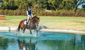 Find specific results from your searches. Confident Cross Country Water Jumps Expert How To For English Riders