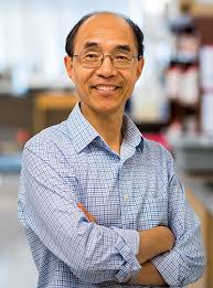 Guoping Feng Archives