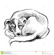 Sleeping Dog Stock Illustration Illustration Of Drawing 117424529 Sleeping Dogs Sleeping Drawing Dog Drawing