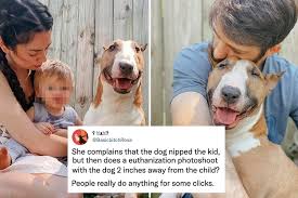 Their organ systems are a lot like ours. Youtubers Nikki And Dan Phillippi Under Fire For Putting Down Their Dog