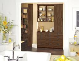 kitchen pantry cabinets kitchen