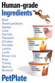 Healthy Food For Dogs In 2021 Healthy Dog Food Recipes Dog Food Delivery Dog Food Recipes