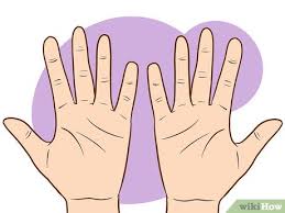 We did not find results for: How To Read Palms 9 Steps With Pictures Wikihow