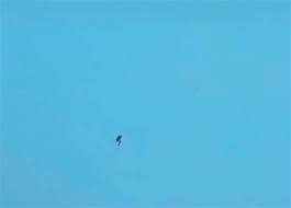 62,527 likes · 1,436 talking about this. 57vpmypvmyqyym