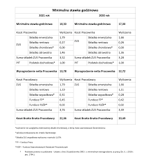 Zaproponowano, aby minimalne wynagrodzenie za pracę w 2021 r. 5ju2x35yyjlnnm