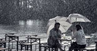 Pin Von Kuffler Gruppe Auf Seehaus Im Englischen Garten Biergarten Munchen Biergarten Munchen Bayern