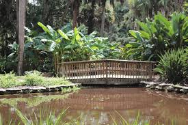 Public Gardens Photo Tours Forum Washington Oaks State Gardens Part 2 Garden Org
