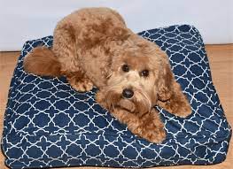Have you ever found your dog plopped down on your old socks, or a towel you left on the floor? Molly Mutt Dog Bed Stuff Sack Pine Lodge Labradoodles