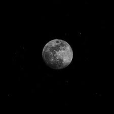 Check spelling or type a new query. Royalty Free Black Wallpaper Photos Free Download Pxfuel