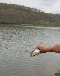 Racoon creek state park map. Raccoon Creek Lake Main Lake Pa Fishing Reports Map Hot Spots