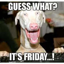 We did not find results for: 39 Most Funniest Friday Meme For Weekend Party Picsmine