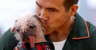 Meet Peggy: Britain's Ugliest Dog and Movie Star