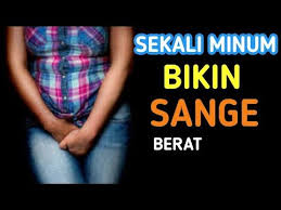Bisa anda coba aplikasikan inilah obat perangsang ayam petelur alami yang dapat mendongkrak hasil telur nantinya dan memberikan keuntungan berlipat return to site obat agar ayam petelur cepat bertelur,makanan ayam petelur agar cepat bertelur,cara membuat telur ayam petelur menjadi besar,obat untuk memperbesar telur ayam petelur,obat herbal. Baru Di Temukan Obat Perangsang Wanita Yang Murah Dan Mudah Didapat Youtube Kesehatan Pria Terangsang Teks Lucu
