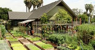 Ada banyak sekali manfaat dari bercocok tanam dikehidupan kita, bila dilakukan disekitar rumah, halaman sekolah, pekarangan dll. Maksimalkan Pekarangan Rumah Anda Agar Menjadi Lebih Indah Bos Properti