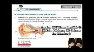 Jawaban buku paket ipa kelas 9 halaman 221 abcd. Jawaban Soal Ipa Semeste 2 Kelas 8 Halaman 101 Masnurul