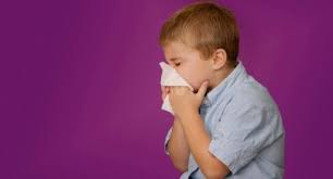 Taparse La Boca Al Estornudar Habitos De Higiene Respiratorio Salud