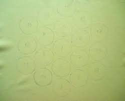 Kết quả hình ảnh cho cẩm tú cầu nhiều màu