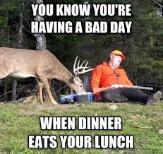 It S A Great Day For The Deer Hunting Humor Funny Pictures Humor